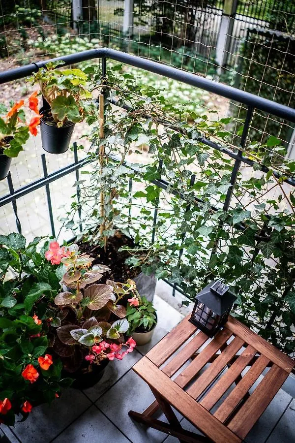Apartament U Siemienia Kraków 0*,